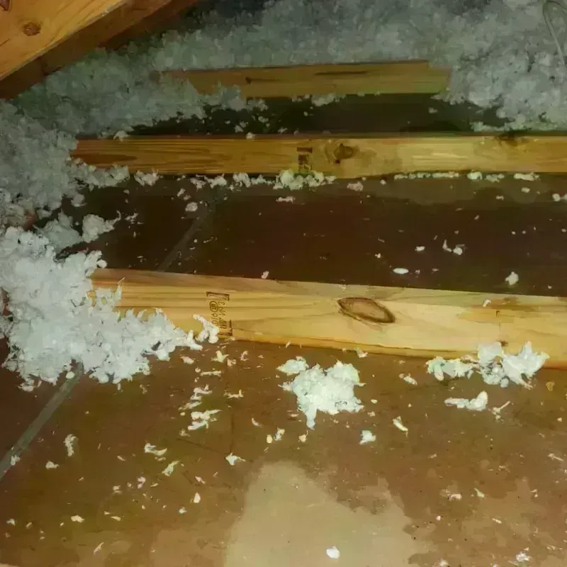 Attic Water Damage in Farmington, ME