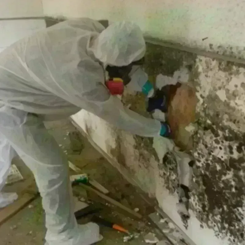 Mold Remediation and Removal in Farmington, ME